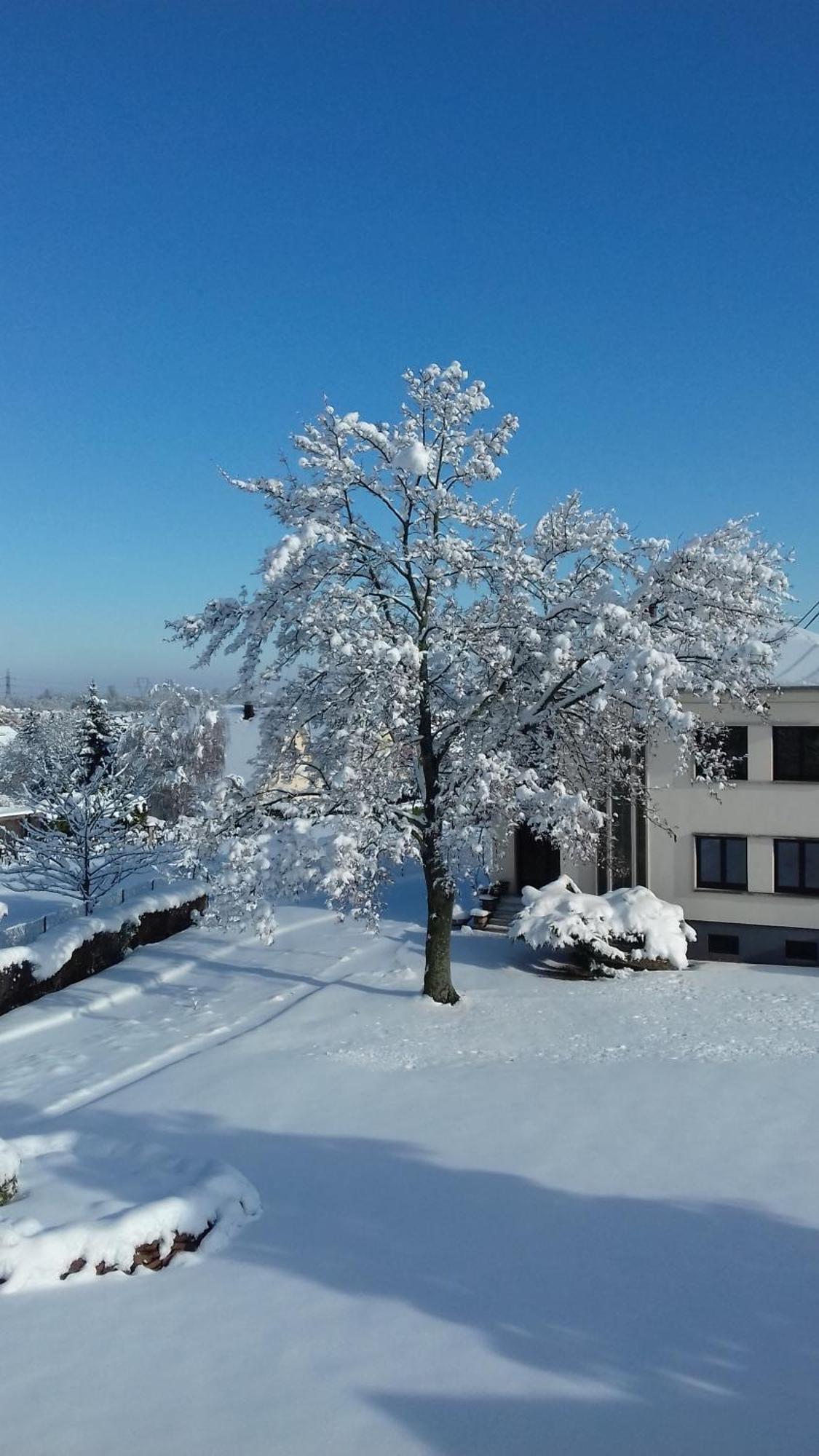 Bonne Idee - Suite Georges - Meuble De Tourisme 4 Etoiles Châtenois Dış mekan fotoğraf